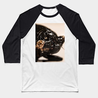 Cicada Baseball T-Shirt